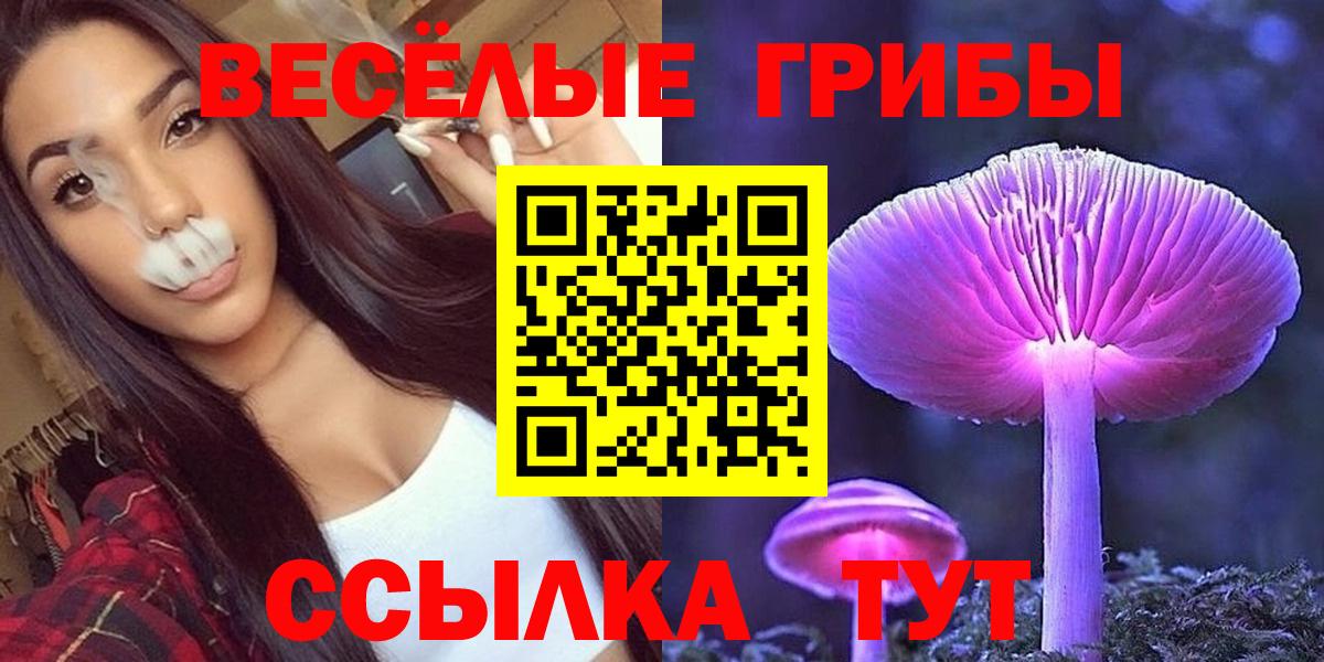 Псилоцибиновые грибы Cubensis  Псилоцибиновые грибы MAGIC MUSHROOMS  хочу наркоту  Вязники  Вход с VPN 