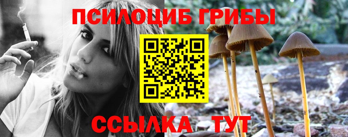 Псилоцибиновые грибы ЛСД Вязники